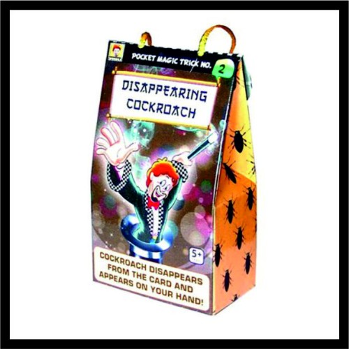 Κατσαρίδα που εξαφανίζεται image