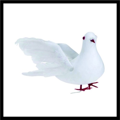 Ψεύτικο Περιστέρι image