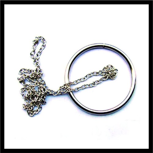 Μυστήριο Δαχτυλίδι image