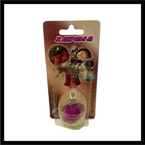 Έντομο σε κέλυφος αυγού image