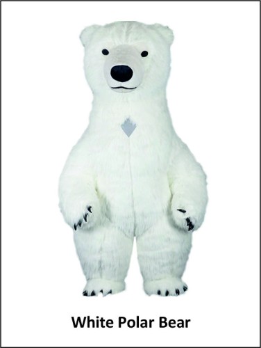  Λευκή Πολική Αρκούδα  image