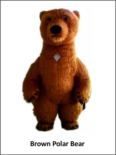 Καφέ Πολική Αρκούδα image