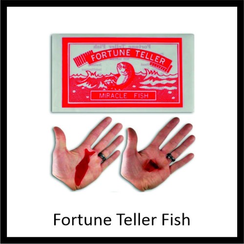 Fortune Teller Fish image