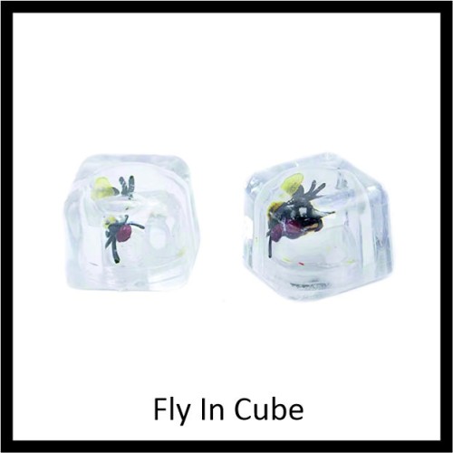 Έντομο στον κύβο πάγου image