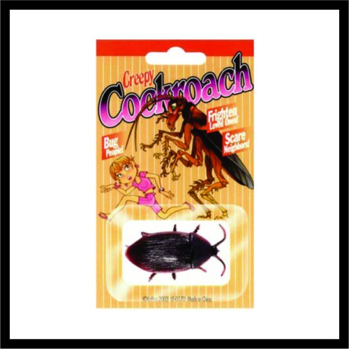 Ψεύτικη κατσαρίδα image