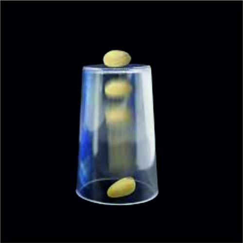 Φιστίκι μέσα από Κύπελλο image