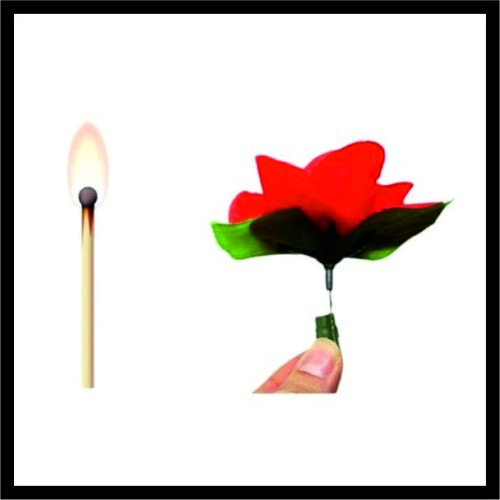 Σπίρτο σε Τριαντάφυλλο image