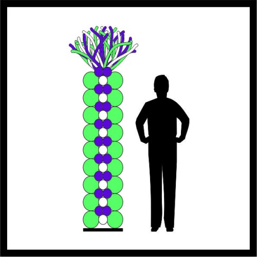 Στήλη Mπαλονιών D image