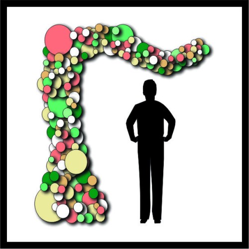 Οργανική Γιρλάντα image