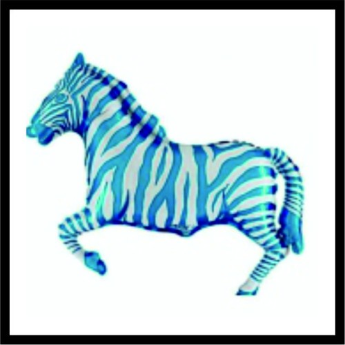 Μπλε Ζέβρα image