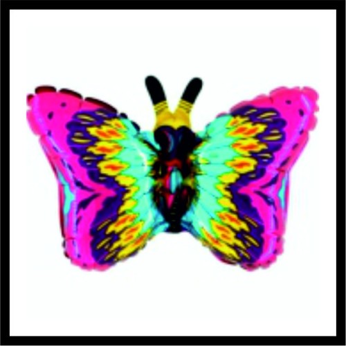  Πεταλούδα image