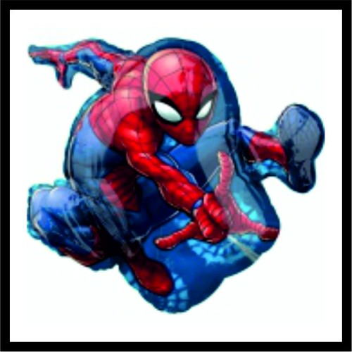 SpiderMan image