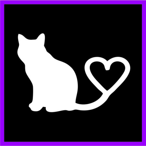 Αγαπώ τις γάτες image