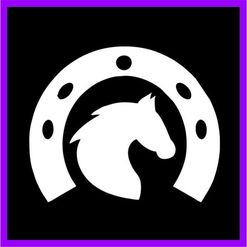 Γούρι καλοτυχίας image