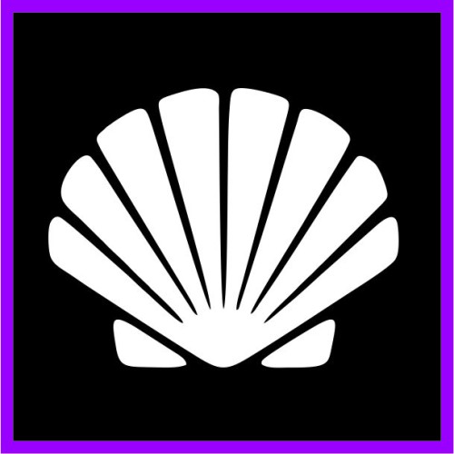  Θαλασσινό κοχύλι image