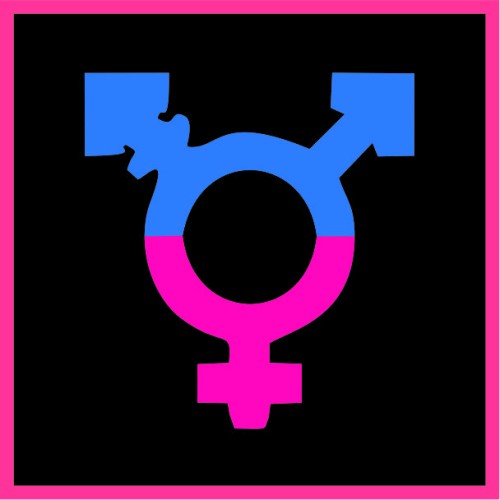 Τρανσέξουαλ image