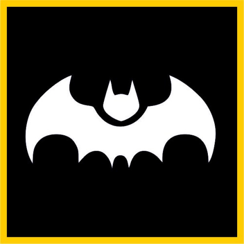 Νυχτερίδα image