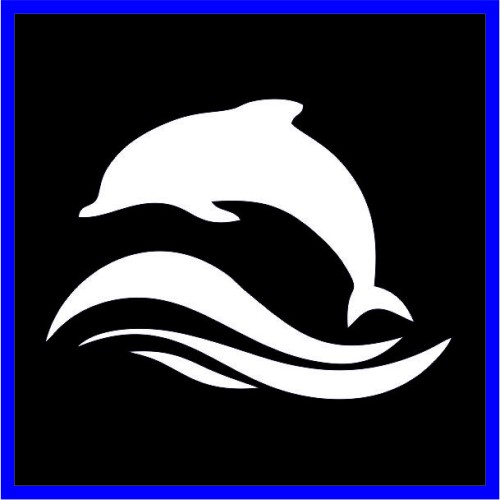 Δελφίνι στο κύμα image