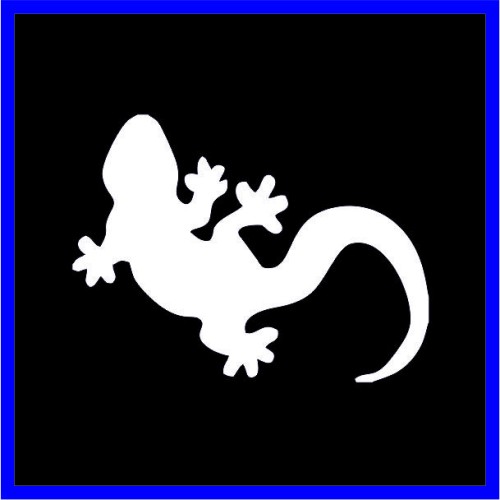 Σαύρα Gecko image