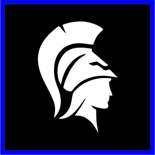 Κράνος πολεμιστή image