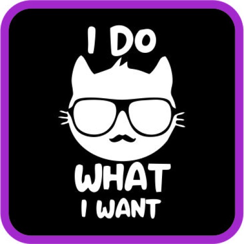 I Do What I Want image