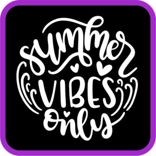 Summer Vibes Only image