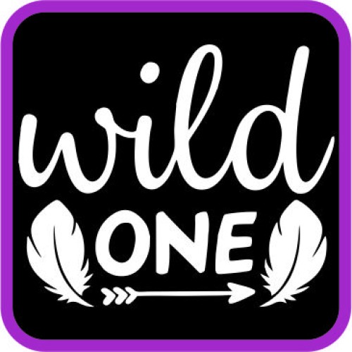 Wild One image