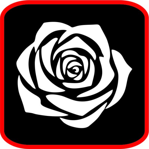 Κόκκινο τριαντάφυλλο image