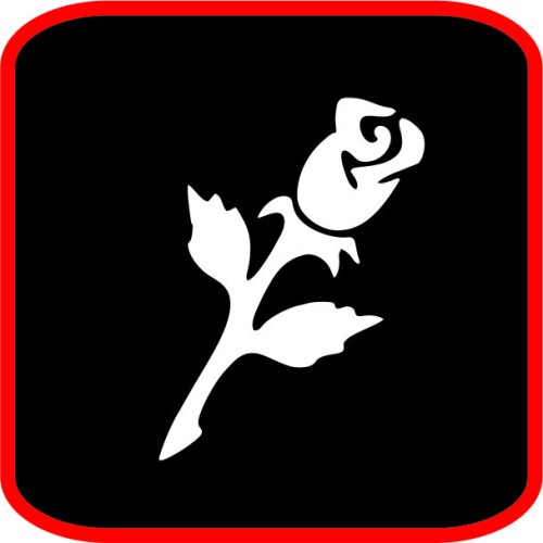 Όμορφο Τριαντάφυλλο image