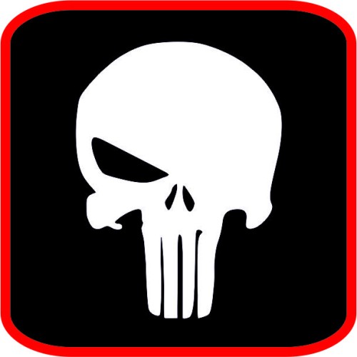 Punisher image