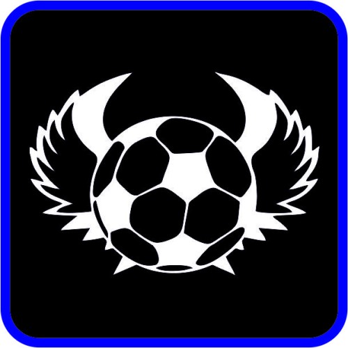 Φτερά ποδοσφαίρου image