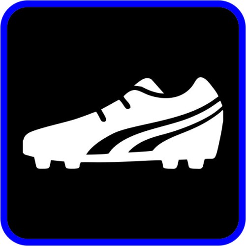 Αθλητικό παπούτσι image