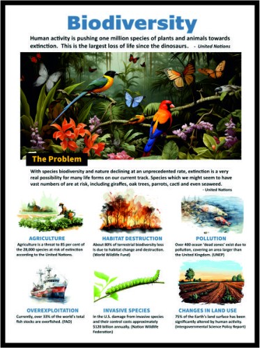 Biodiversity image