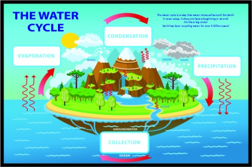 Water Cycle image