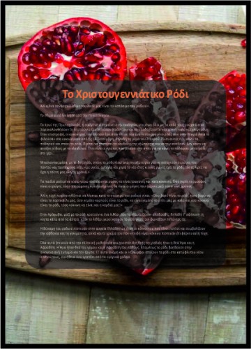 Το Χριστουγεννιάτικο Ρόδι image