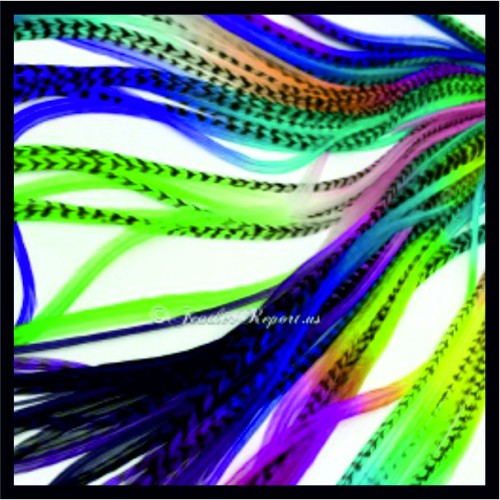 Feather Hair Extensions image