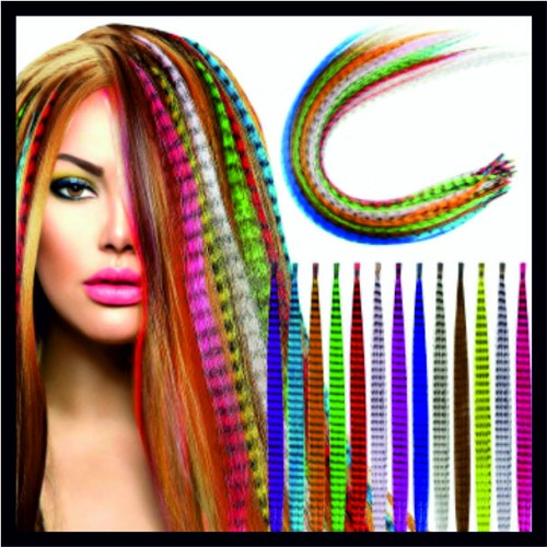 Feather Hair Extensions image