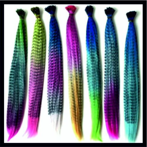 Feather Hair Extensions image