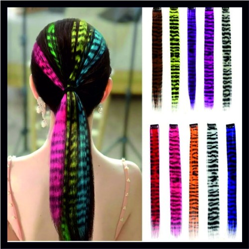 Clip-In Feather Hair  image