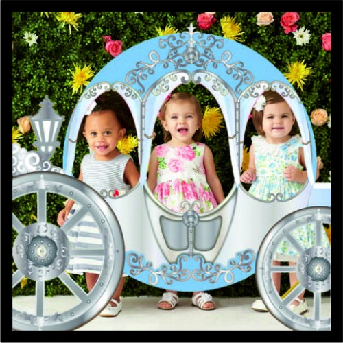 Αποκοπή καροτσιού image