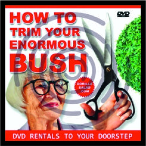 Κουρέψετε τον θάμνο σας image