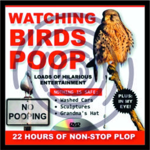 Παρακολουθώντας τα πουλιά  image