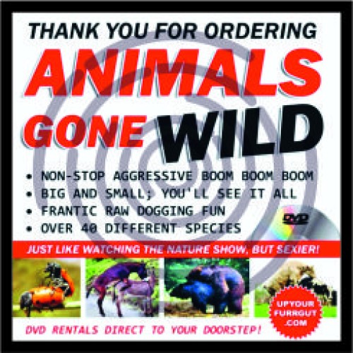 Τα ζώα αγρίεψαν  image