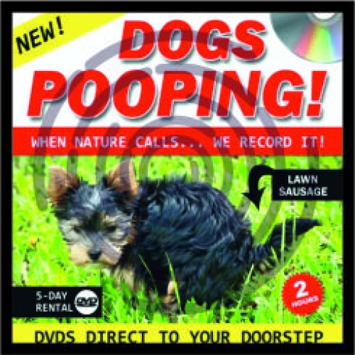 Κακάκια σκύλου image