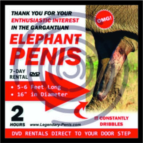 Πέος ελέφαντα image