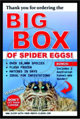 Κουτί με αυγά αράχνης image