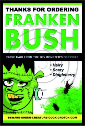 Φράνκεν Μπους image