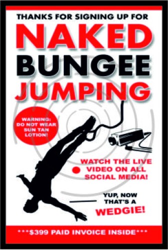 Γυμνό Bungee Jumping image
