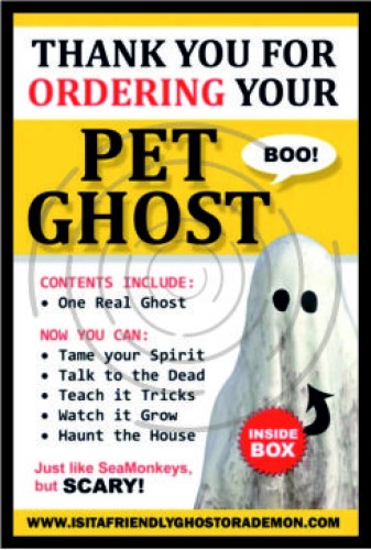 Κατοικίδιο φάντασμα image