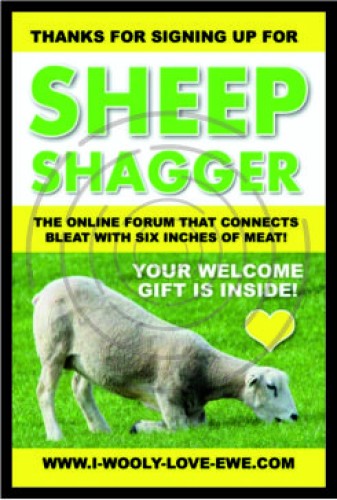 Sheep Shagger image